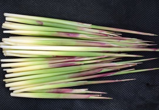 来和我一起盘点小时候吃过的田间美味吧,看看你都吃过哪些?_腾讯新闻