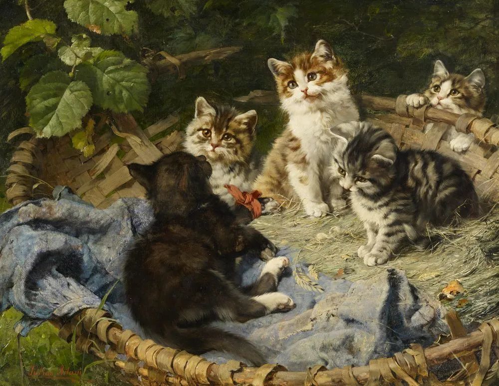 德国画家 julius adam 油画笔下的猫系列作品欣赏