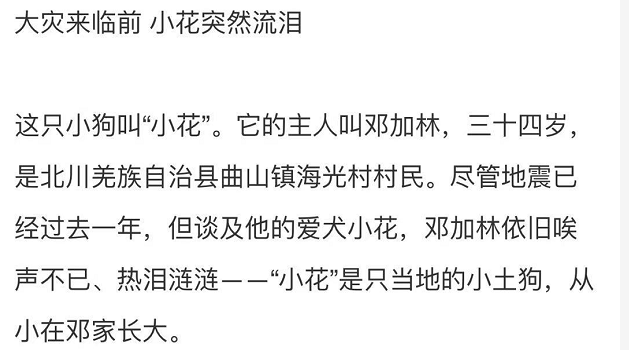 感谢12年前的良知媒体让我们知道了义犬小花的命运