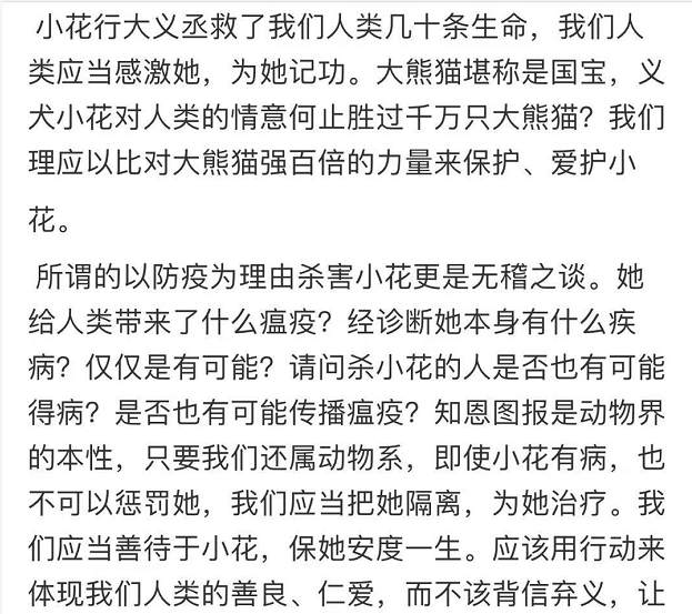 感谢12年前的良知媒体让我们知道了义犬小花的命运