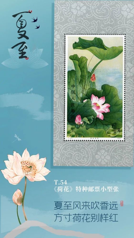 夏至 方寸荷花别样红 腾讯新闻