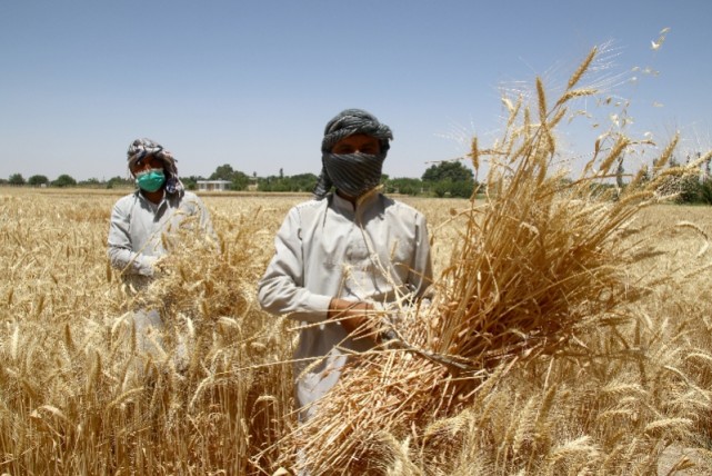 外交部紧急提醒:中国公民尽早离开阿富汗,组图看阿富汗现状