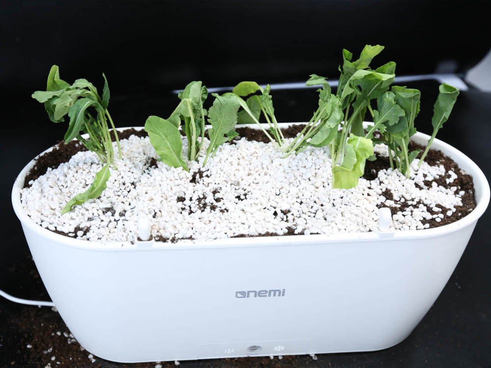 让花草能 讲话 一米田智能种植伴侣开箱 腾讯新闻