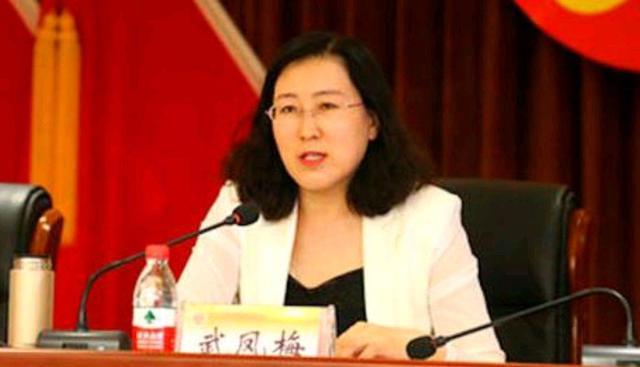 公开资料显示:武凤梅,1965年4月出生,河南商丘人,研究生学历,历史学