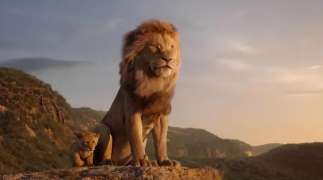 动物交配六亲不认那流浪雄狮长大以后还认识自己的母亲吗