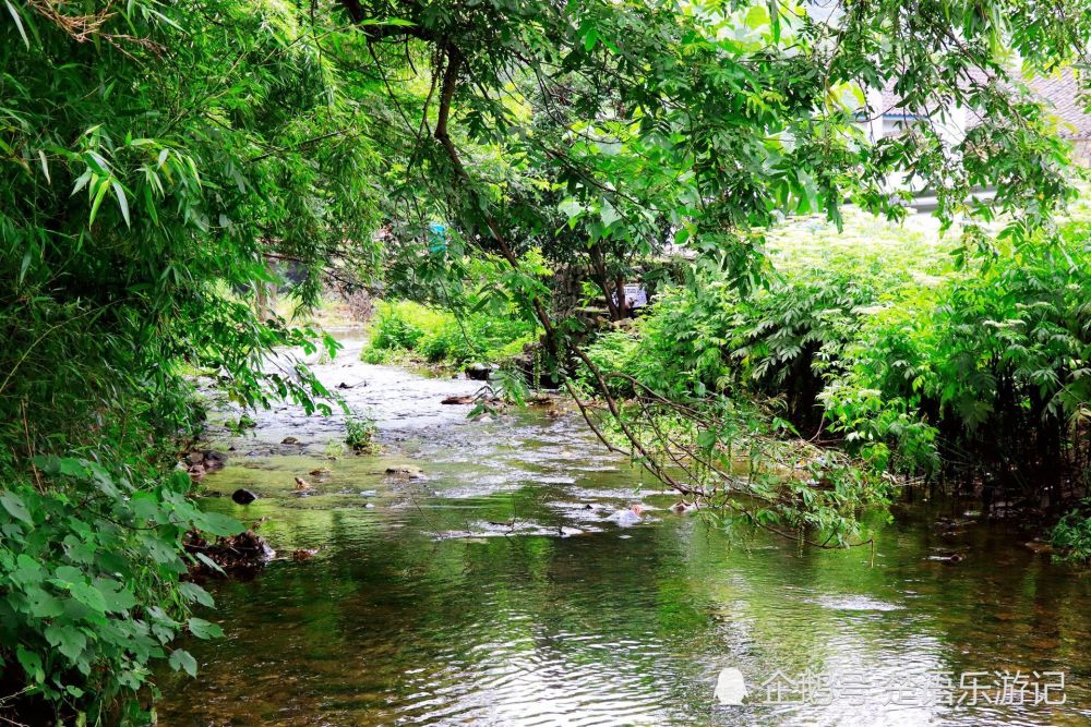 余姚市这个乡村青山绿水翠竹环绕 美如世外桃源却少有人来 真美 腾讯新闻