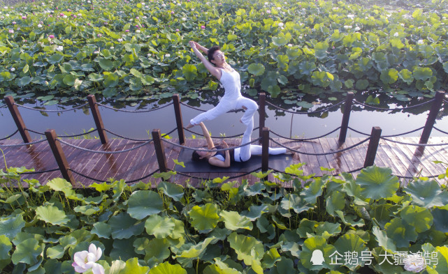 2021年6月21日,瑜伽爱好者在江苏泰州高港区大马水生植物园荷花池栈桥