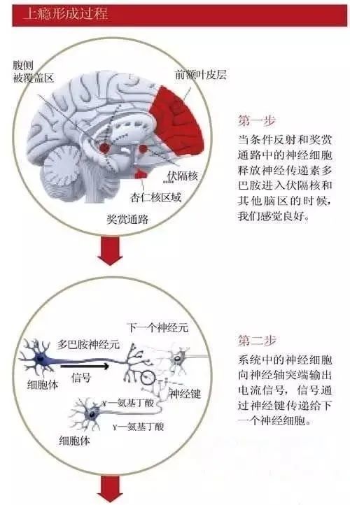 防范新型毒品对青少年危害毒贩诱骗青少年的手段