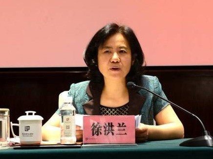 武汉市副市长徐洪兰被"双开"