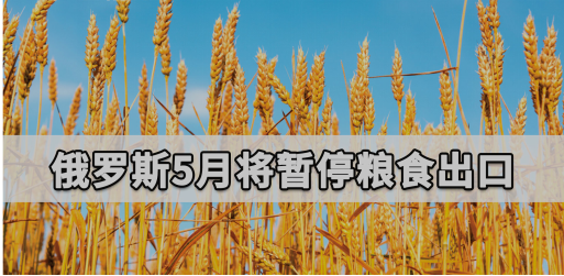 非洲的人口与粮食问题_非洲粮食问题的图片(3)