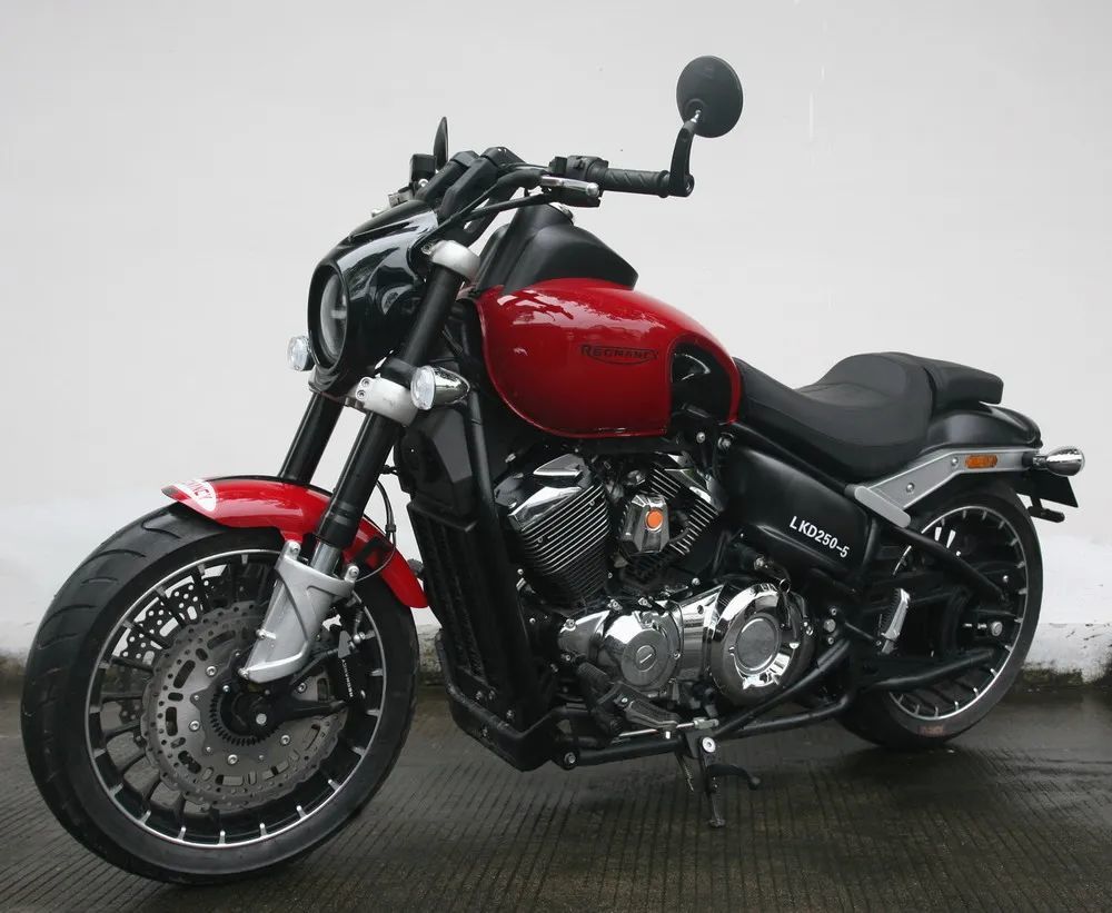 lkd250-5rx 3雷卡迪-雷克本菱,一家来自上海的摩托车制造商,鼓捣了一