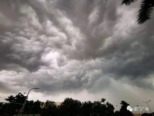 40毫米以上的强降水目前同安区汀溪镇褒美村岛外不少站点已开始刮风