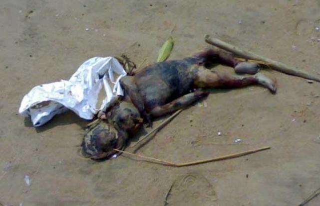 传说中的不祥之物河童