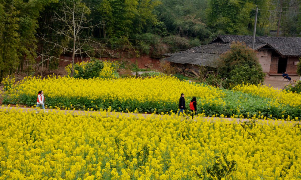 清凉乐山在乐山有一种独一无二的美丽叫做青平镇