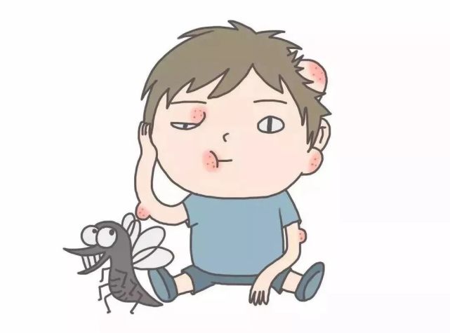 为啥我的蚊子包总是又大又圆?|科学小馆儿_腾讯新闻