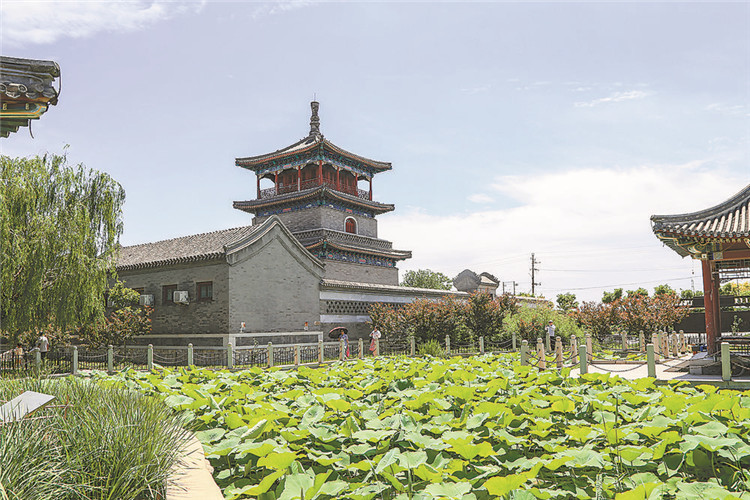 霸州勝芳溼地公園水清岸綠景美