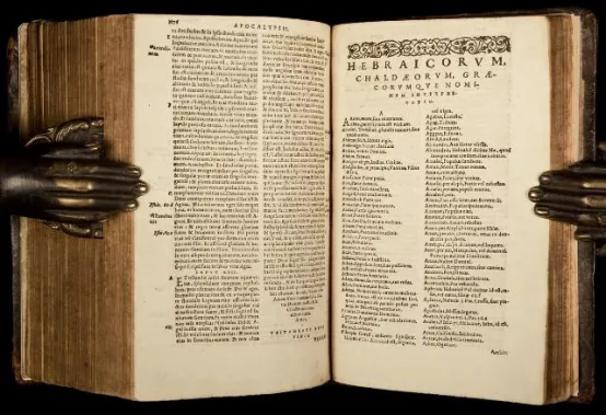 行政文件,公告,法律,条约,甚至是基督教的经典《圣经》,拉丁文加速