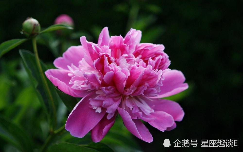 6月22日星座运势 巨蟹扬长避短 天蝎静观其变 摩羯集思广益 腾讯新闻