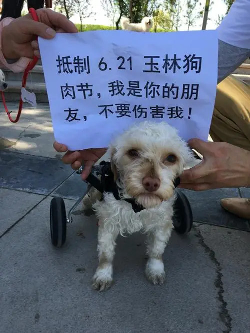 夏至玉林狗肉节,你吃狗肉了吗?