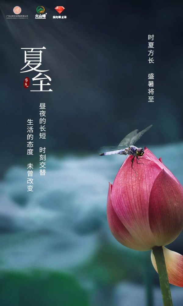 夏至|时下方长,盛夏将至
