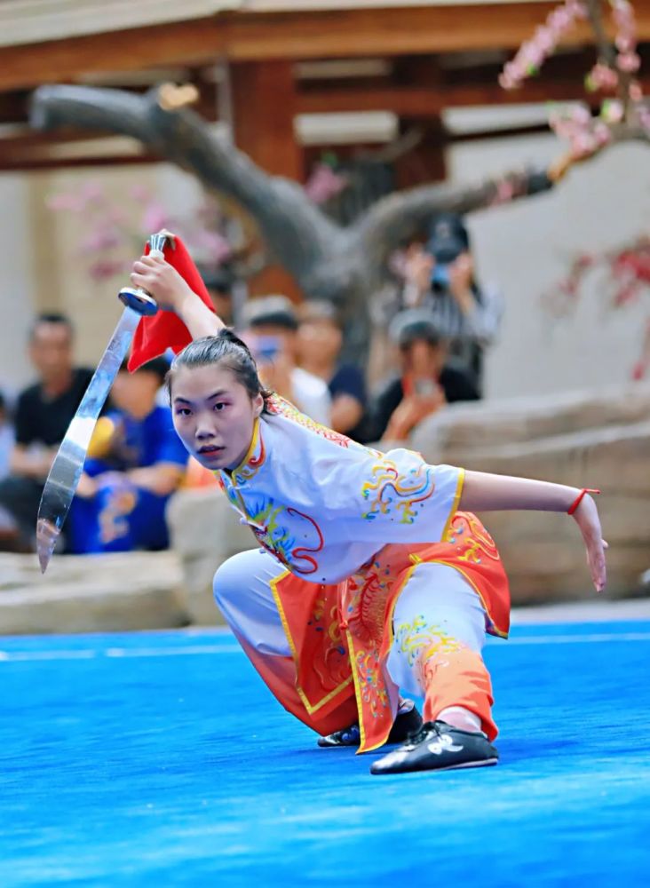 精彩看枣庄市第十届运动会武术套路比赛