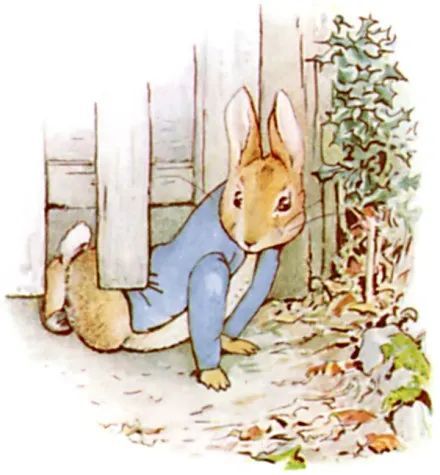 繪本彼得兔的故事thetaleofpeterrabbit