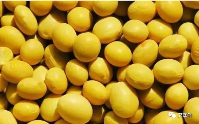 五谷五豆养五脏值得收藏