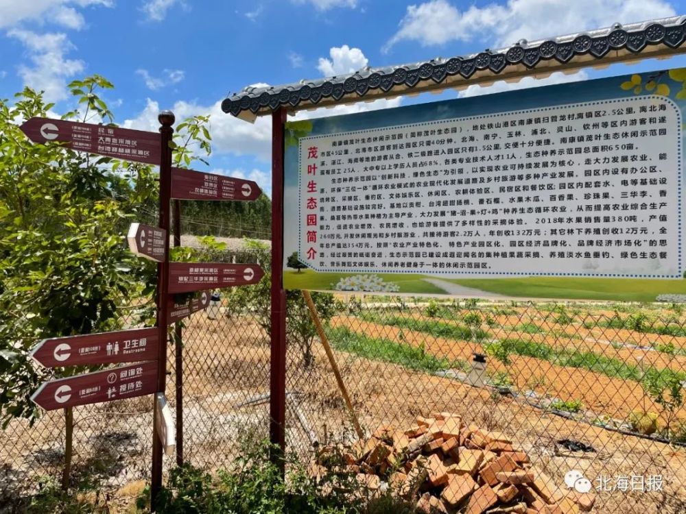 致富之路的意思:农村致富之路(致富之路的意思致富之路有哪些)