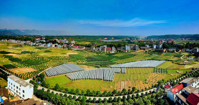 每日一图湖南邵东灵官殿镇公田村的葡萄大棚基地