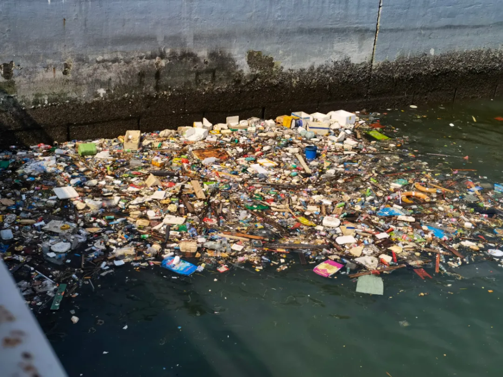 我为群众办实事丨霞山检察:清理海洋垃圾,守护美丽港湾