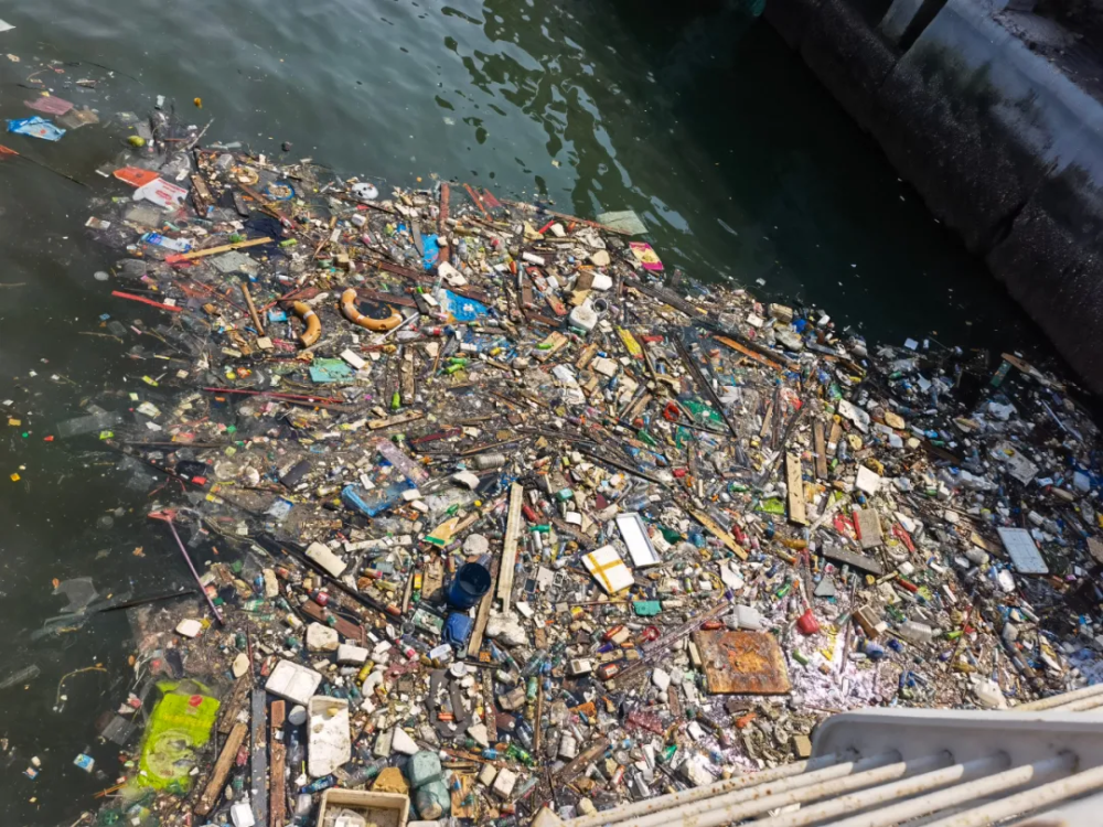 我为群众办实事丨霞山检察:清理海洋垃圾,守护美丽港湾