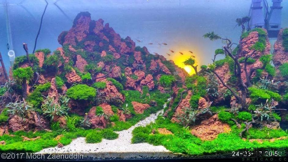 各种火山石造景