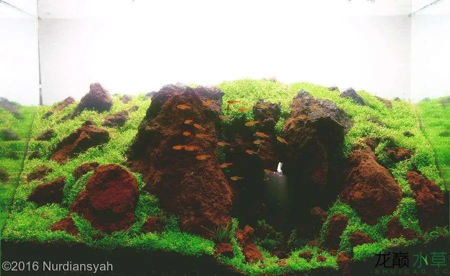 各种火山石造景