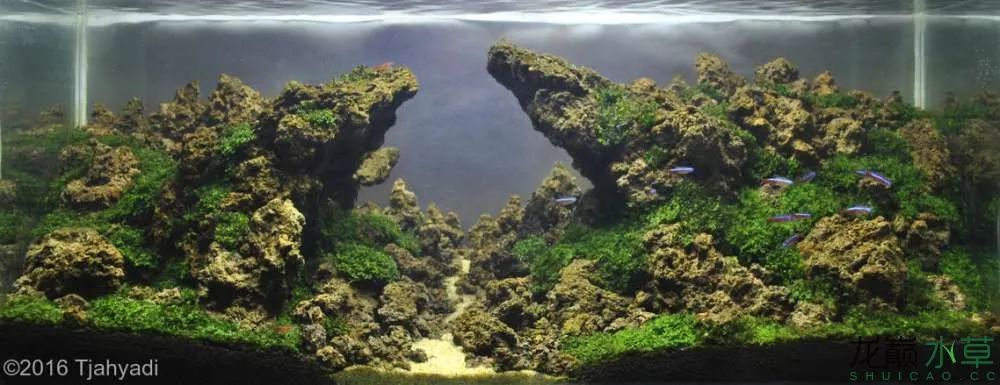 各种火山石造景