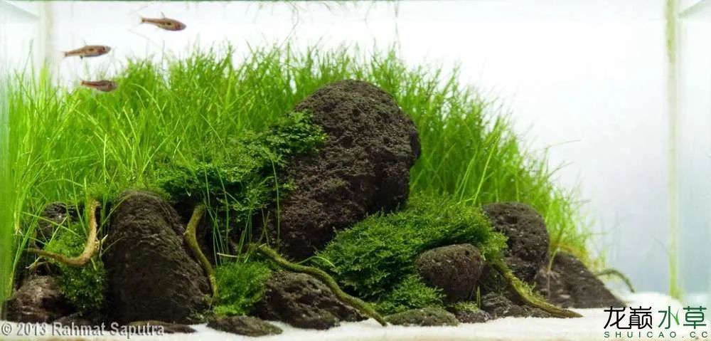 各种火山石造景