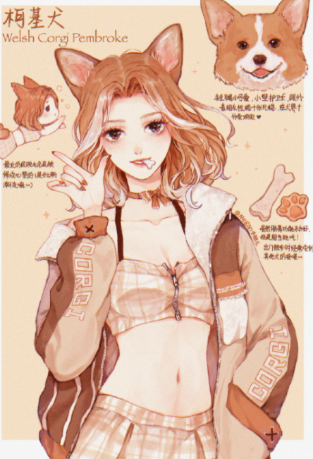 狗狗化身动漫美少女萨摩变成白毛御姐短腿柯基好俏皮