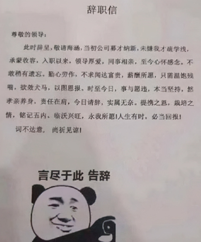 翅膀硬了辞职书图片图片