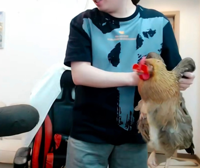 太损了吕德华生日被虎牙官方送真土鸡随地大便笑疯观众