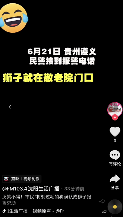 笑哭市民将剃过毛的狗误认成狮子报警求助网友这是辛巴被黑得最惨的
