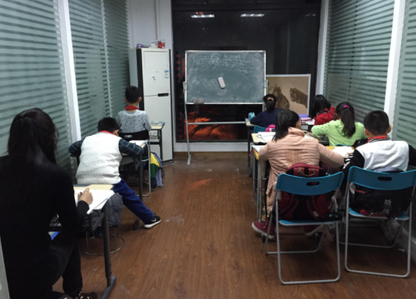 "宁可孩子考倒数,也不上补课班",新政策下来,有人坐不住了