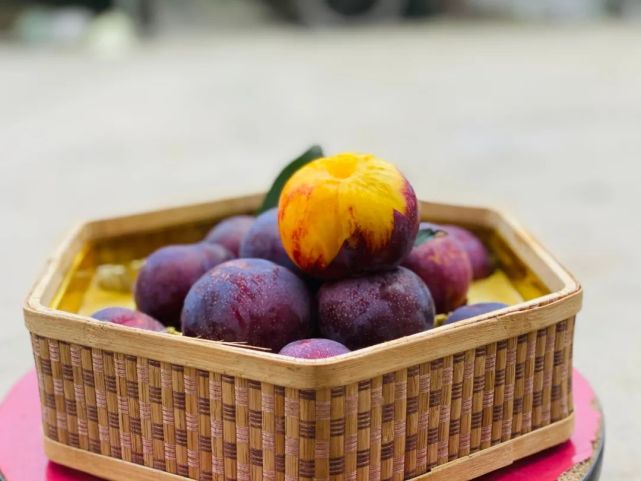 千年名果槜李飘香去桐乡品尝一颗可以喝的李子