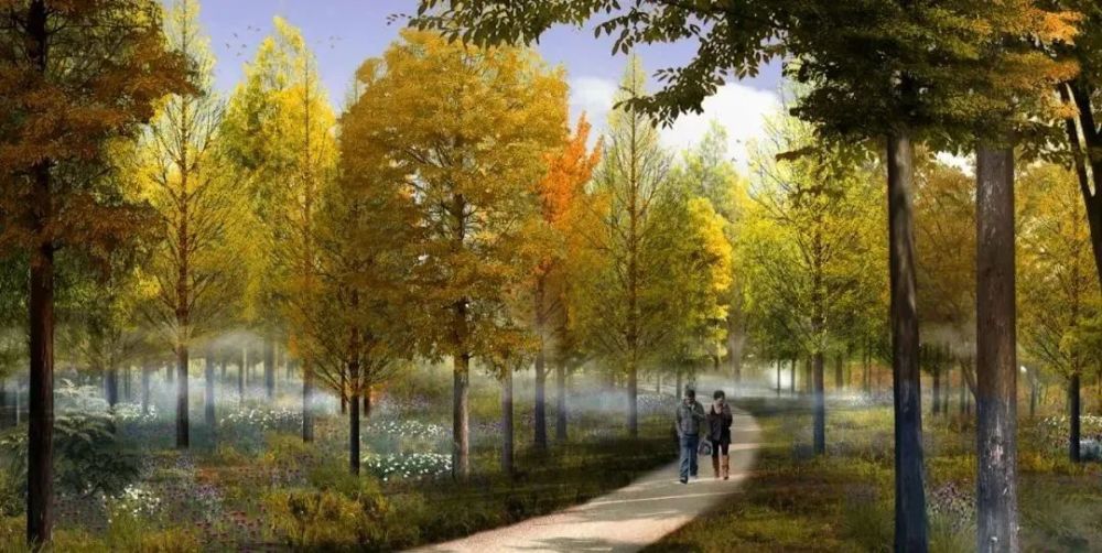 黄日港生态公益林项目开工,来看一波效果图!