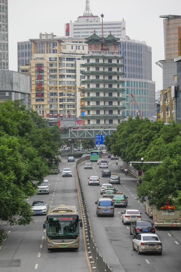 家乡的人民路丨郑州人最熟悉的风景人民路上绿树成荫