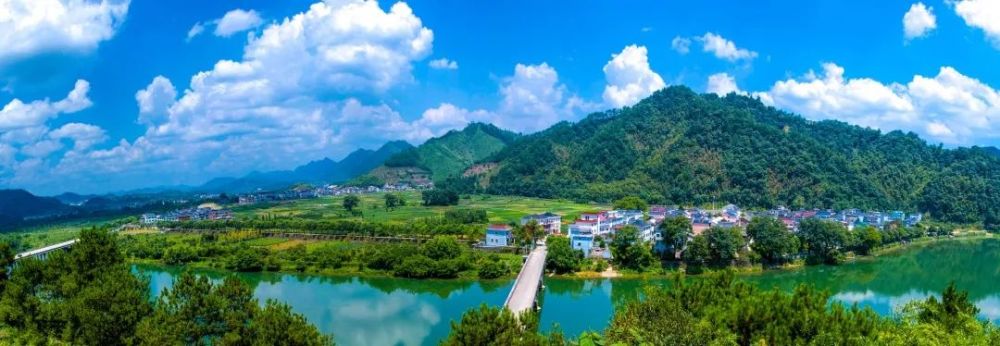 在"浙"里读懂乡村运营 《读村记》将首发