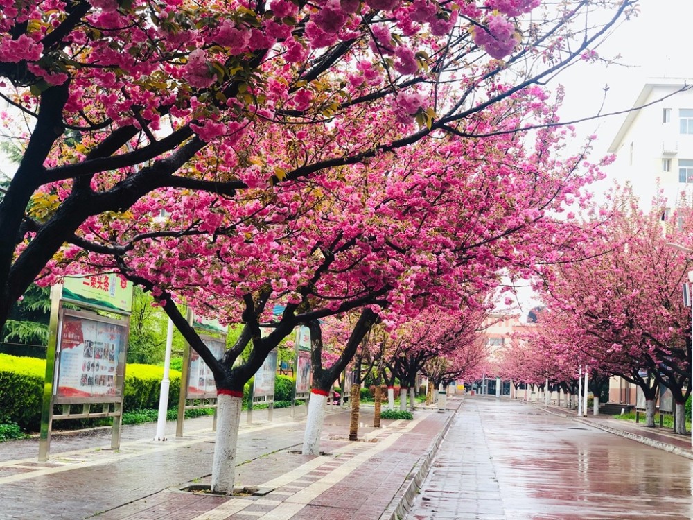 【高校招生季】陕西中医药大学校园风光_腾讯新闻