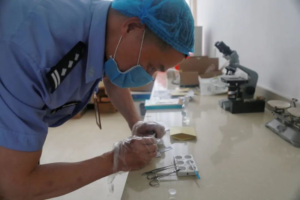 【我为群众办实事】法医李良基:为死者言,捍生者权