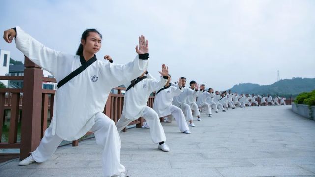 養生氣功(太極十三勢,太極混元功,太極步,形意樁,五形氣功,打坐等);硬