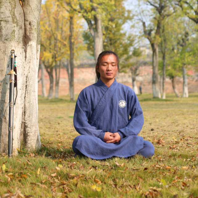 太乙五行拳等);武當養生氣功(太極十三勢,太極混元功,太極步,形意樁