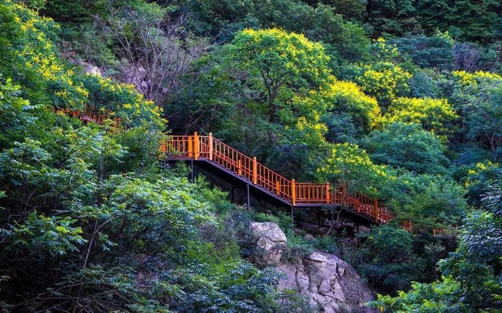 梨木台又美得不像话了!