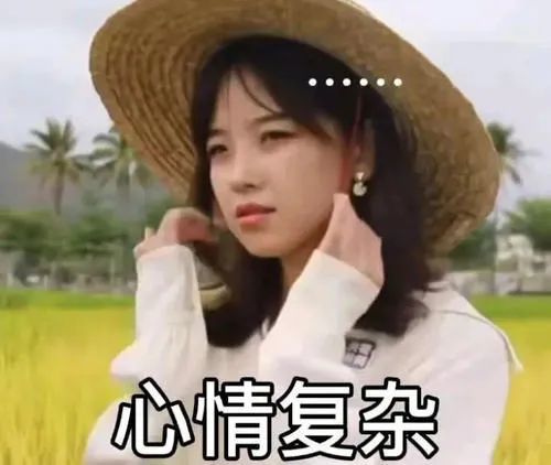 冰冰表情包